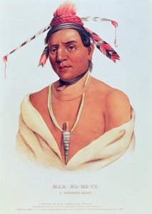 Retrato de Mar-Ko-Me-Te, un valiente Menomene, 1838 de Charles Bird King